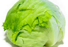 Lechuga Americana, Lactuca sativa” Iceberg o lechuga nacional