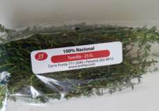 Tomillo “Thymus vulgaris”