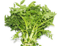 Berro “Nasturtium officinale”