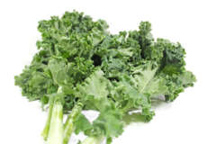 Kale “Brassica oleracea var. sabellica L.”