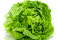 Lechuga Mantequilla
