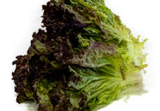 Lechuga Roja
