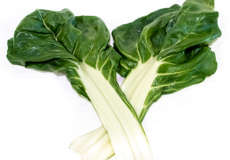 Acelga “Beta vulgaris var. Cicla”